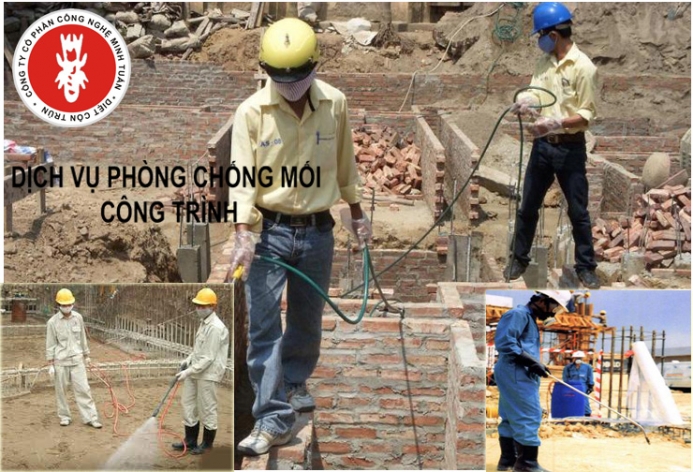 diệt mối tận gốc