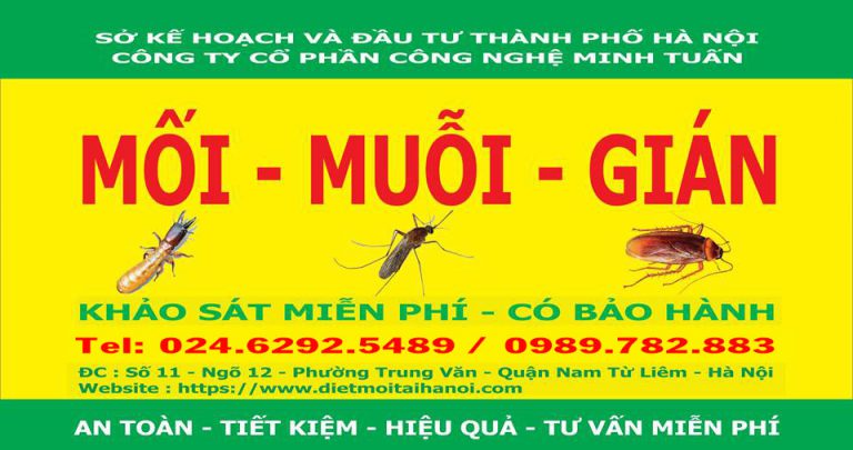 Diệt mối an toàn