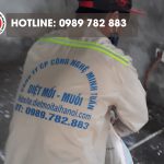 Dự an diệt mối 11