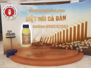 diệt mối tận gốc hà nội