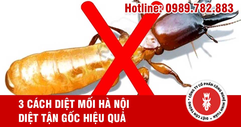 diet moi tai ha noi