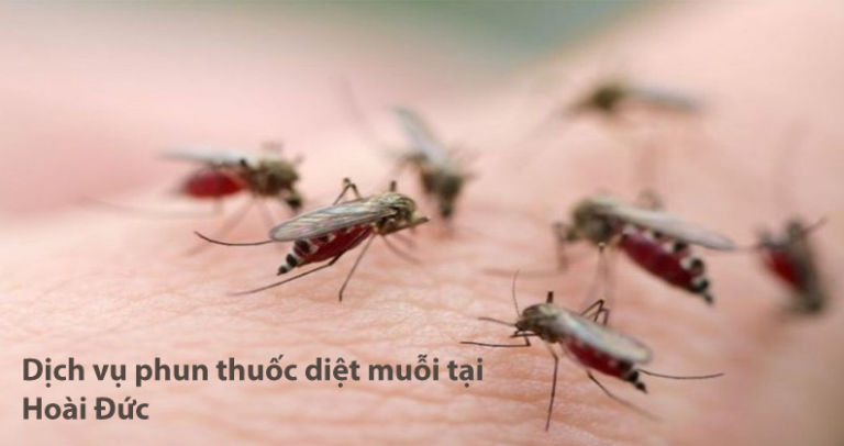 Dịch vụ diệt muoi hoai duc