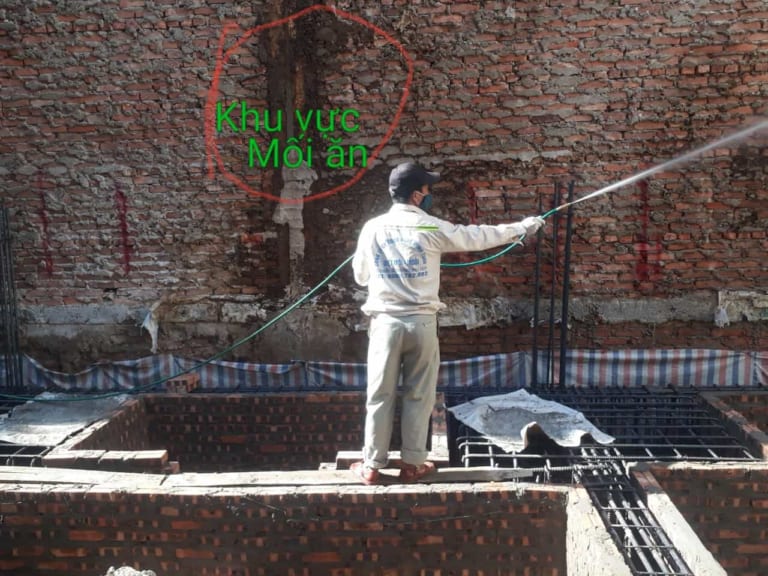 Phòng chống mối minh tuan1 min
