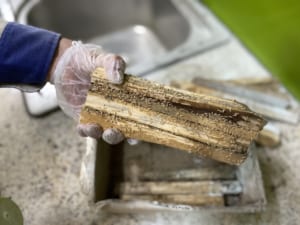 Mối an go