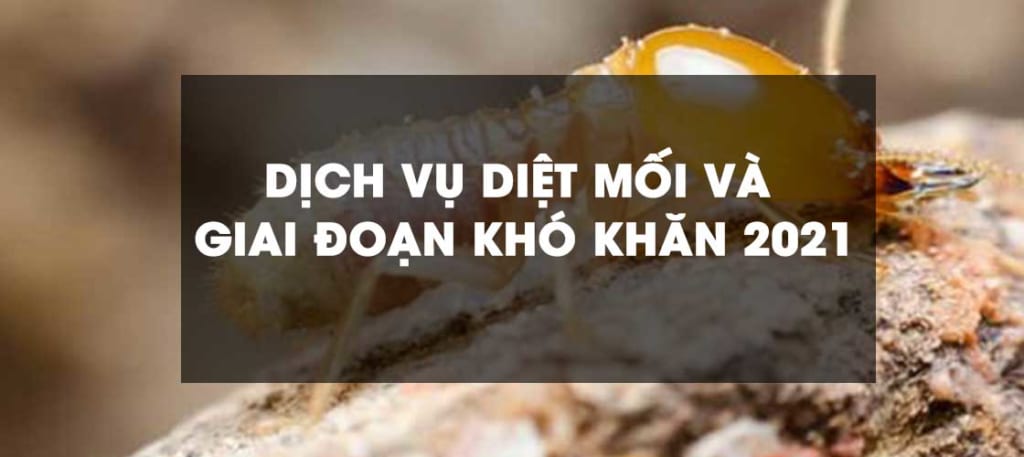 diet-moi-2