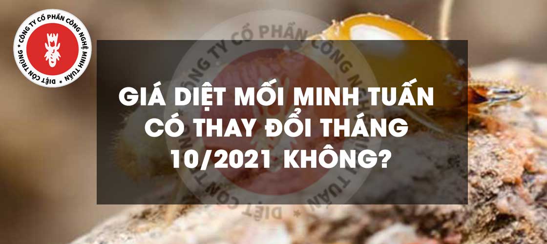 gia-diet-moi-minh-tuan