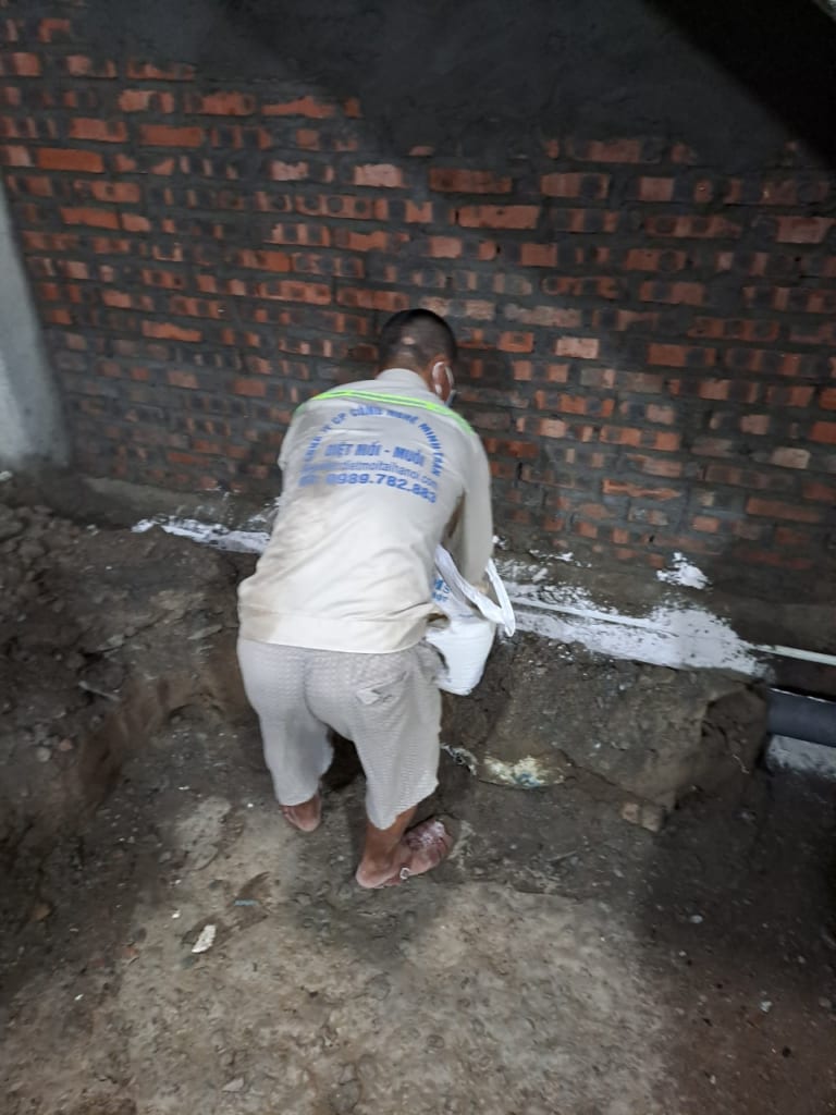 Phòng trừ mối tại liễu giai2