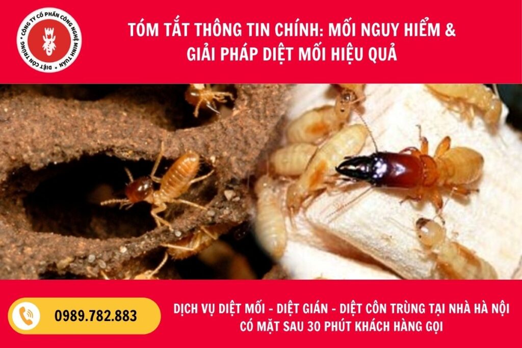 Diệt mối
