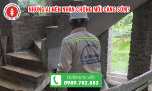 Nhận chống mối 2025
