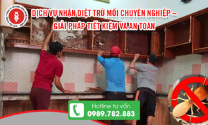 Dịch vụ nhận diệt trừ mối chuyên nghiệp – Giải pháp tiết kiệm và an toàn