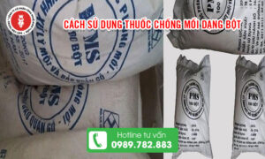 Cách sử dụng thuốc chống mối dạng bột