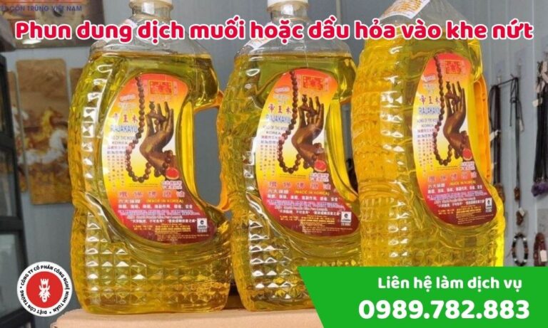 Phun dung dịch muối hoặc dầu hỏa vào khe nứt