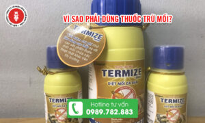 Vì sao phải dùng thuốc trừ mối?