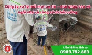 công ty xử lý mối mọt uy tín