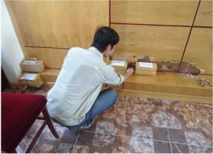 Nguyên nhân tủ quần áo gỗ bị mối