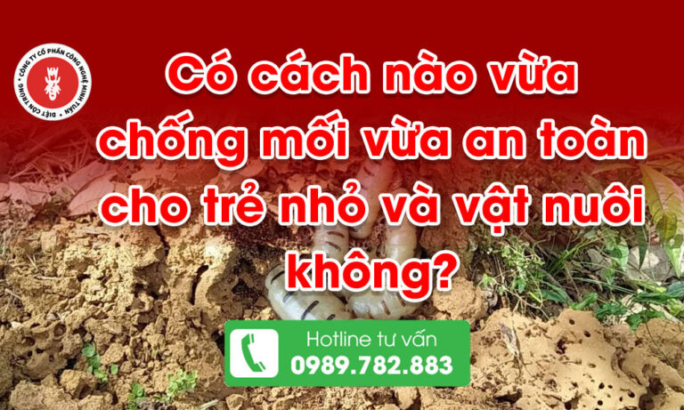 Có cách nào vừa chống mối vừa an toàn cho trẻ nhỏ và vật nuôi không