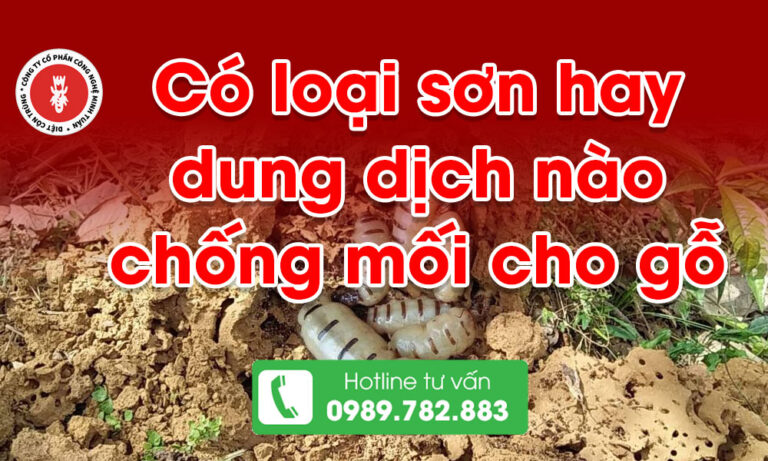 Có loại sơn hay dung dịch nào chống mối cho gỗ không