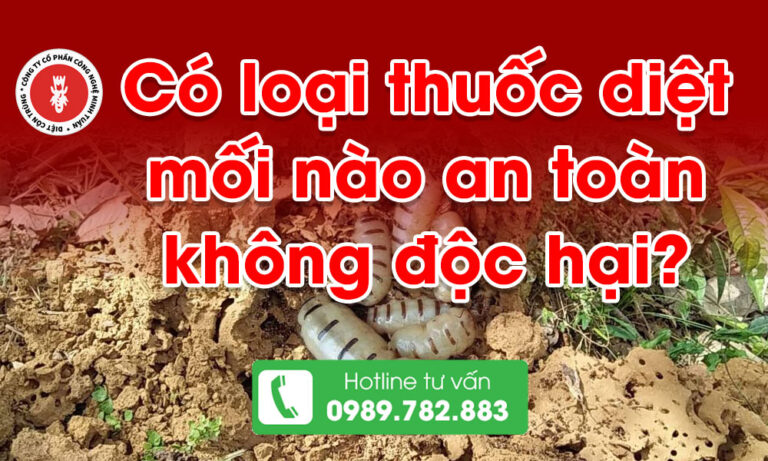 Có loại thuốc diệt mối nào an toàn không độc hại