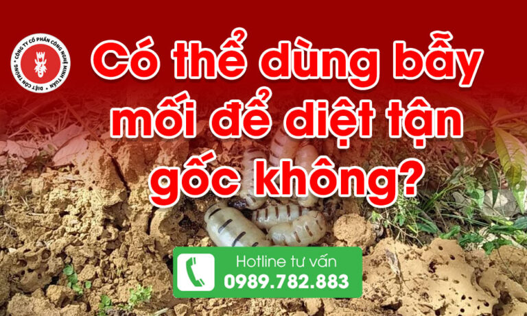 Có thể dùng bẫy mối để diệt tận gốc không