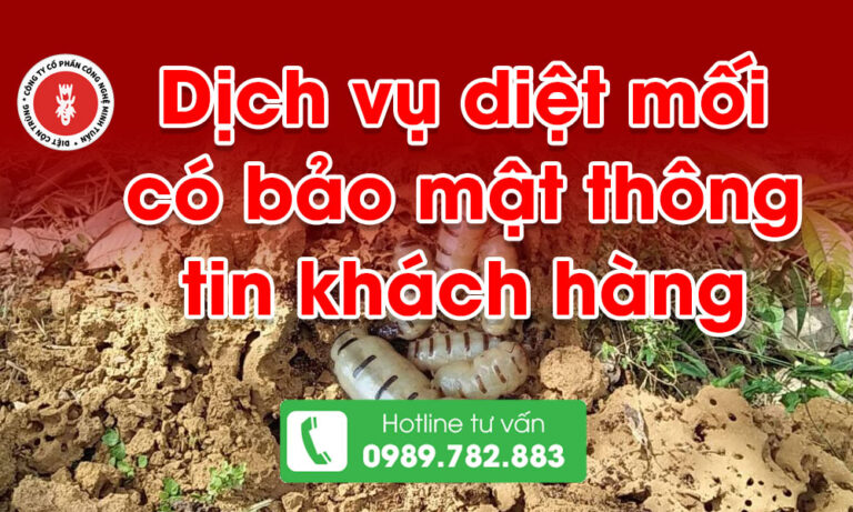 Dịch vụ diệt mối có bảo mật thông tín khách hàng không