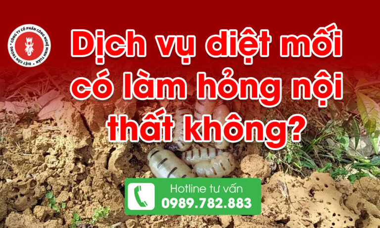 Dịch vụ diệt mối có làm hỏng nội thất không