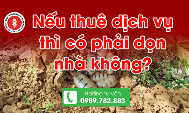 Nếu thuê dịch vụ thì có phải dọn nhà không