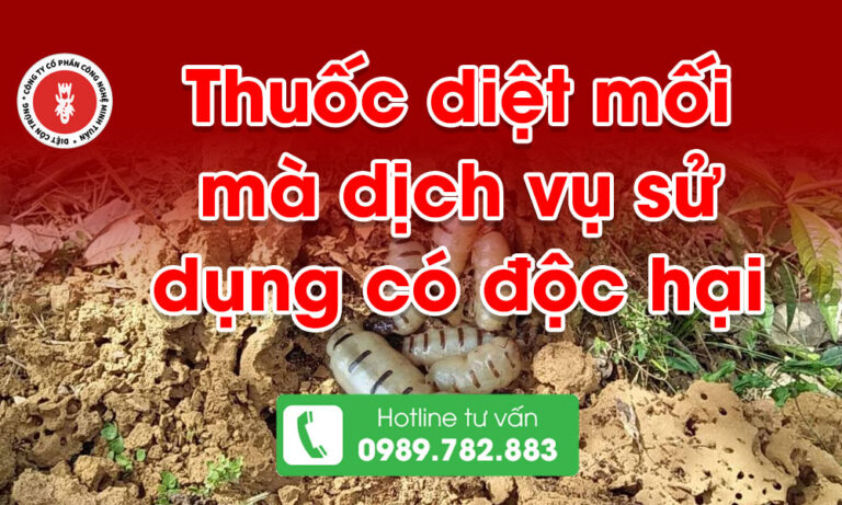 Thuốc diệt mối mà dịch vụ sử dụng có độc hại không