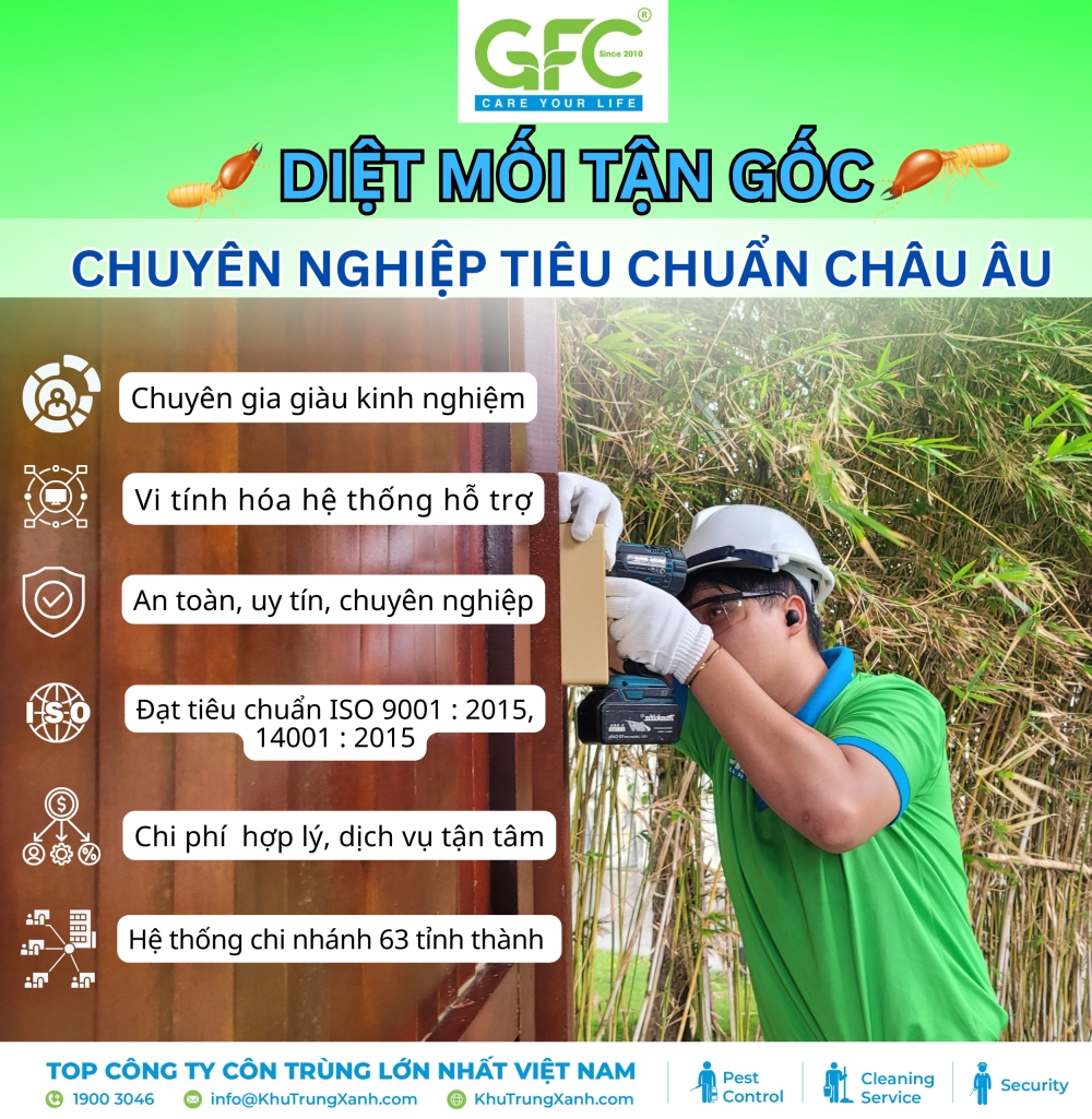 Hướng dẫn bước đi xử lý mối tận gốc tại nhà dễ dàng