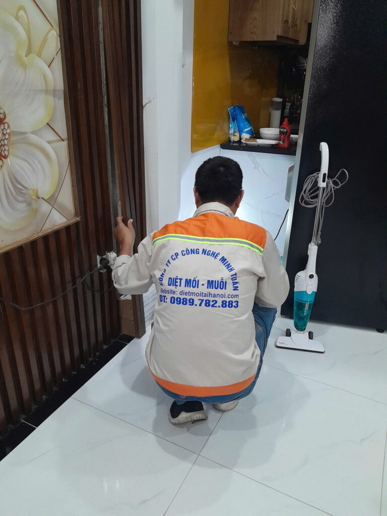Dịch vụ diệt mối tại Hà Nội (40)