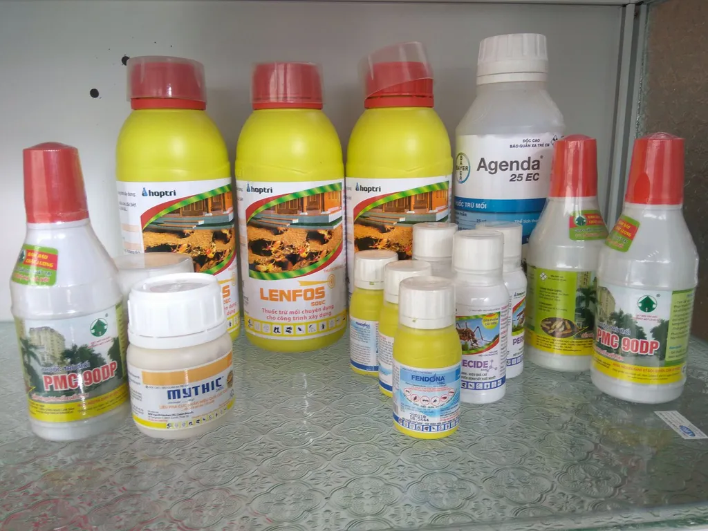 Công ty diệt mối tận gốc tại nhà – Giải pháp hiệu quả cho căn nhà không mối mọt