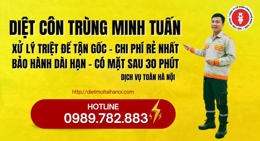 Diệt côn trùng Minh Tuấn