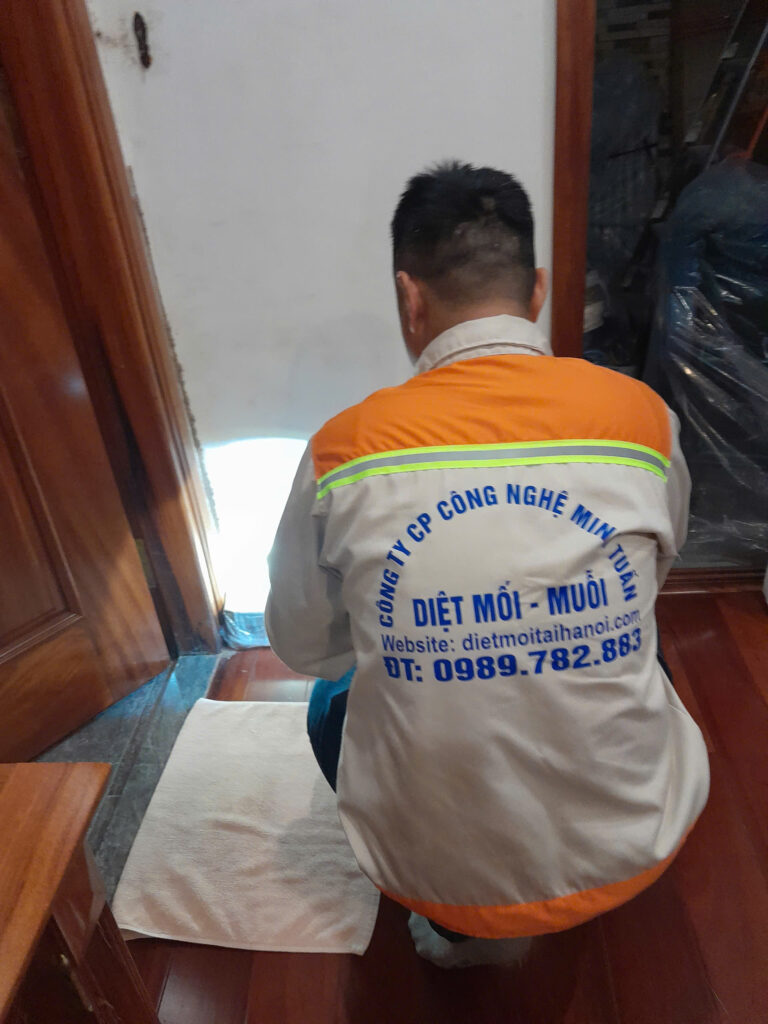 Dịch vụ diệt mối tận gốc tại nhà Hà Nội (5)