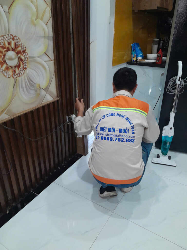 Dịch vụ diệt mối tại Hà Nội (42)