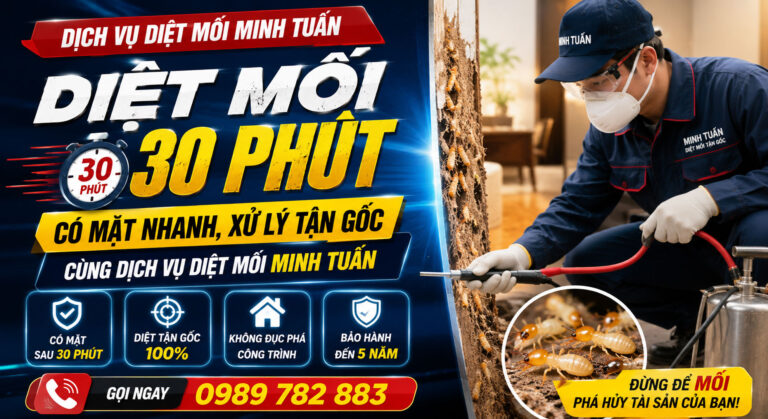 Diệt mối 30 phút – Có mặt nhanh, xử lý tận gốc cùng dịch vụ diệt mối Minh Tuấn