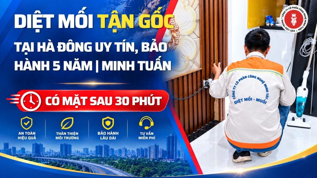 Diệt Mối Tại Hà Đông Uy Tín, Bảo Hành 5 Năm | Minh Tuấn