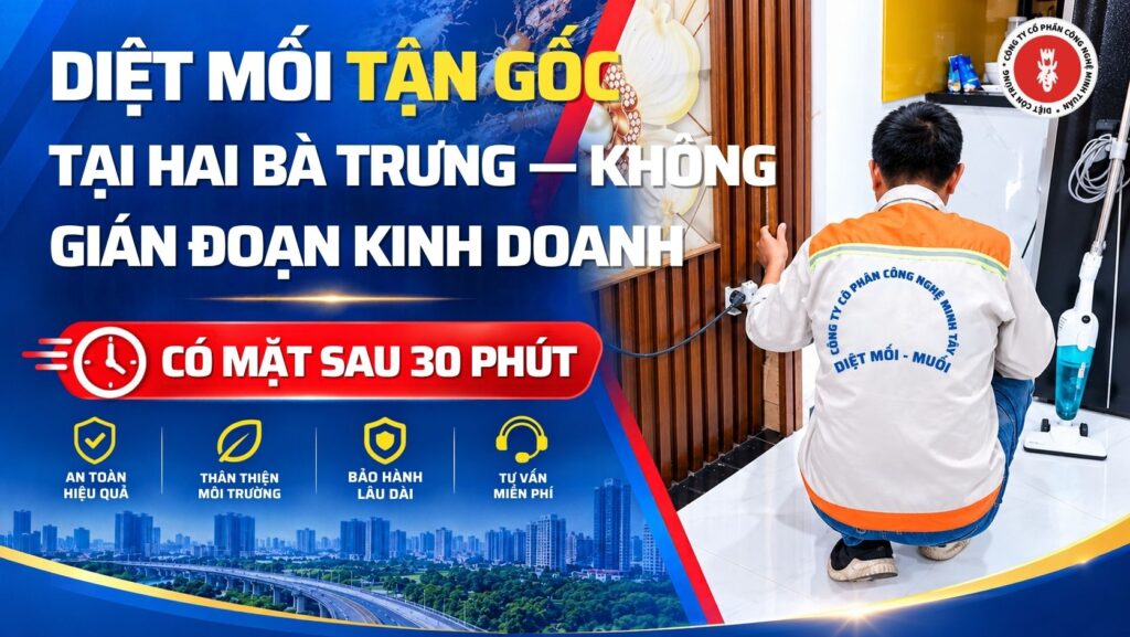 Diệt Mối Tận Gốc Tại Hai Bà Trưng — Không Gián Đoạn Kinh Doanh