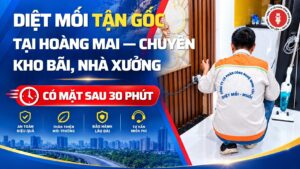 Diệt Mối Tận Gốc Tại Hoàng Mai — Chuyên Kho Bãi, Nhà Xưởng