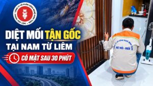 diet-moi-tan-goc-tai-nam-tu-liem