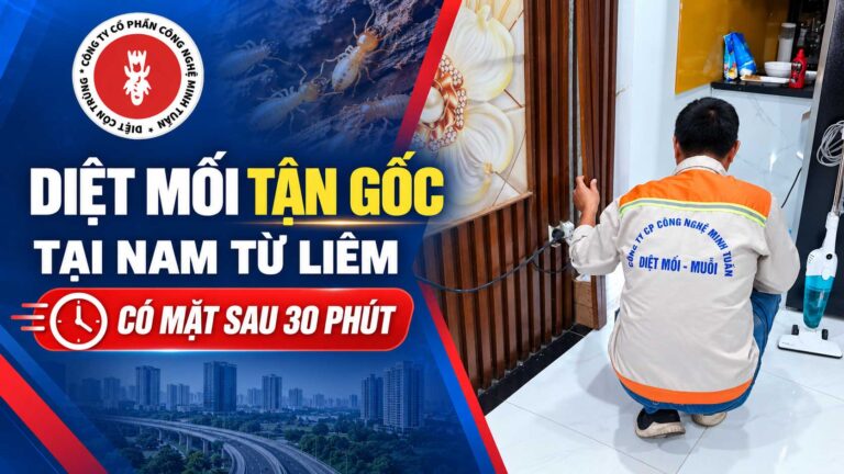 diet-moi-tan-goc-tai-nam-tu-liem